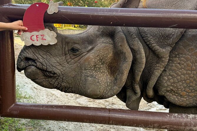 Central Florida Zoo and Botanical Gardens Ticket - Cool off at Wharton-Smith Tropical Splash Ground