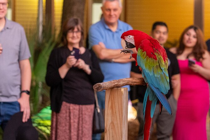 Central Florida Zoo and Botanical Gardens Ticket - Herpetarium: snakes up close, plus amphibians and invertebrates