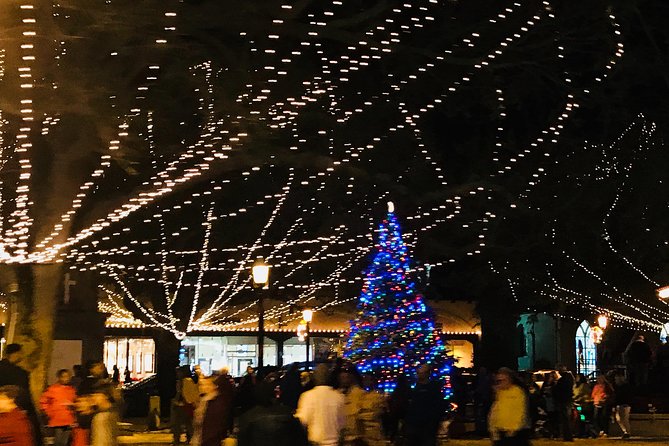 St. Augustine Nights of Lights Celebration from Orlando - Who this St. Augustine Nights of Lights tour suits best